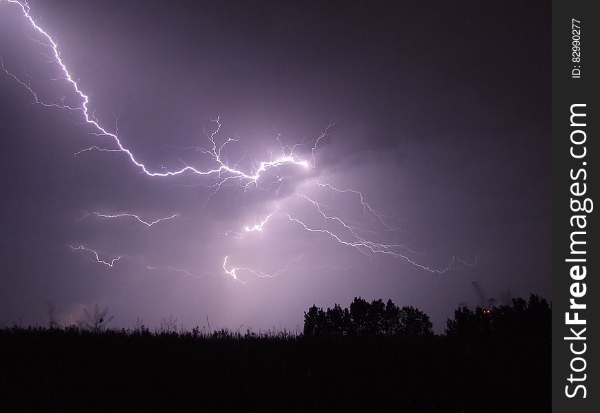 Lightning Crashed Under Trees during Night Time