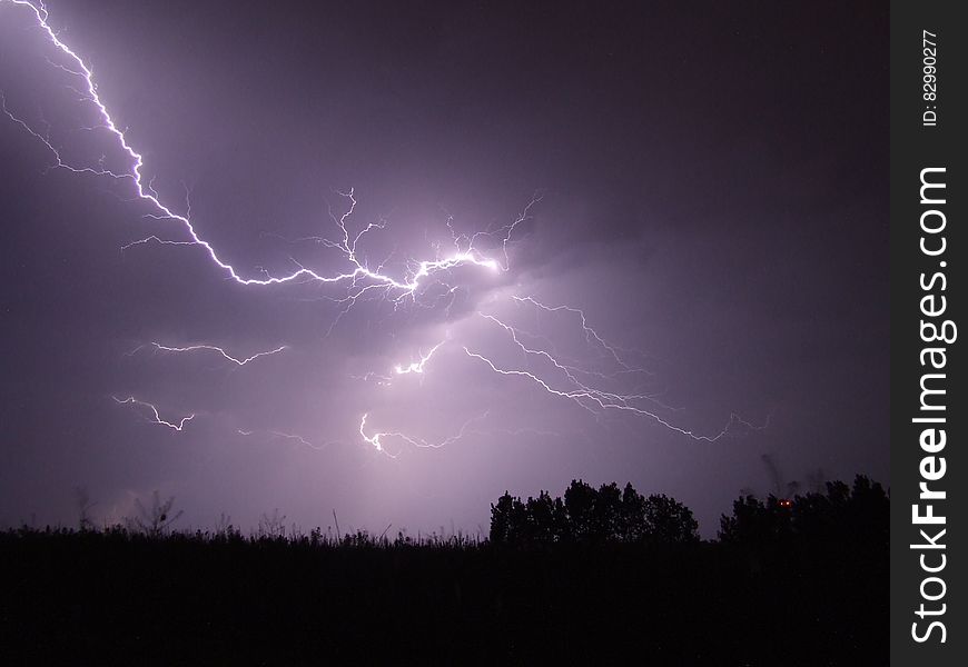 Lightning Crashed Under Trees During Night Time