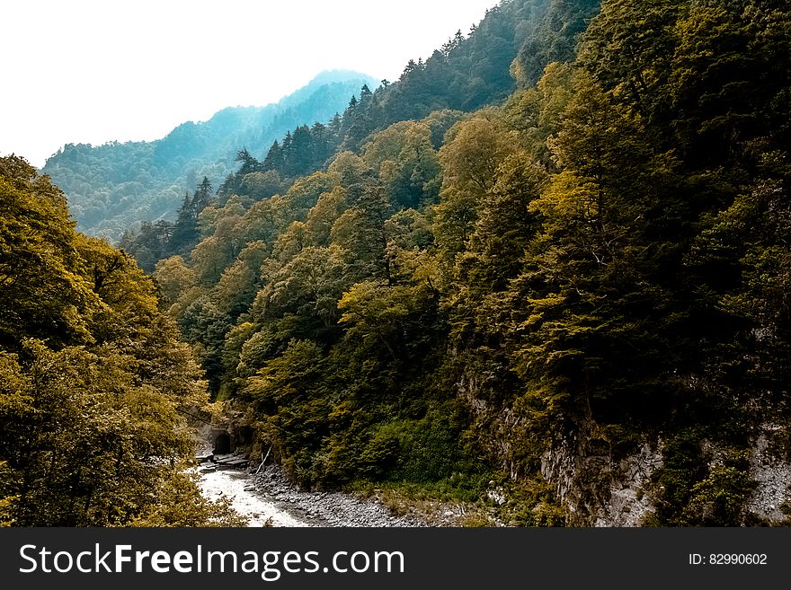 Running Water At The Bottom Of The Mountain Covered With Green Trees