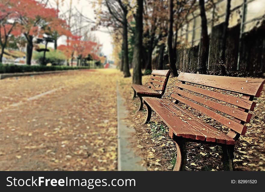 Brown Wooden Bench With Brown Dried Leaves