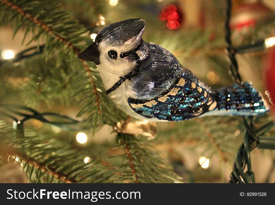 Blue Jay Ornament