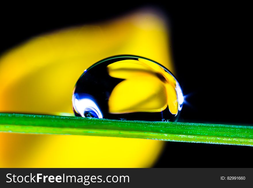 Macro of water drop on green leaf