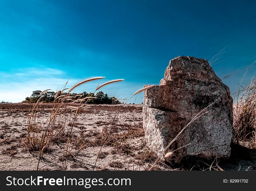 Granite rock in the desert, sparkling in the sun surrounded by sand and tall spikes of dry grass, blue sky background.,