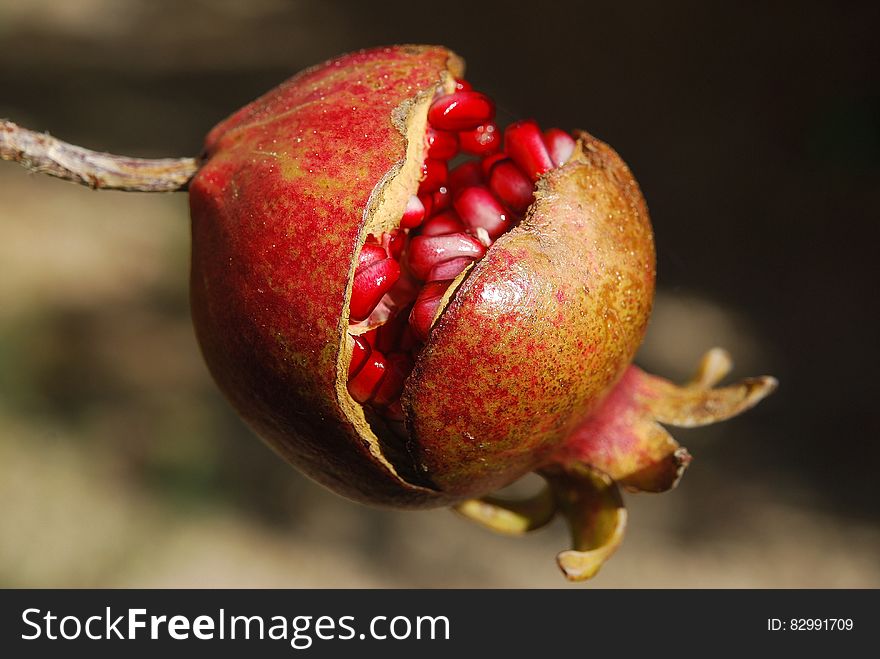 Brown and Red Round Fruit