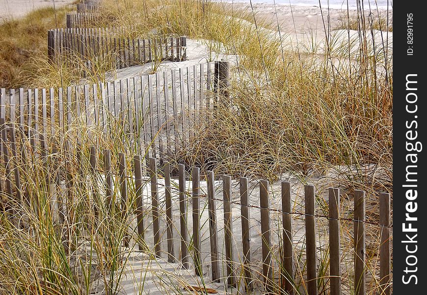 Brown Wooden Fence