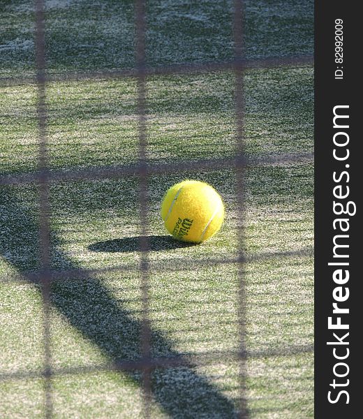 Tennis Ball in Green Grass during Daytime