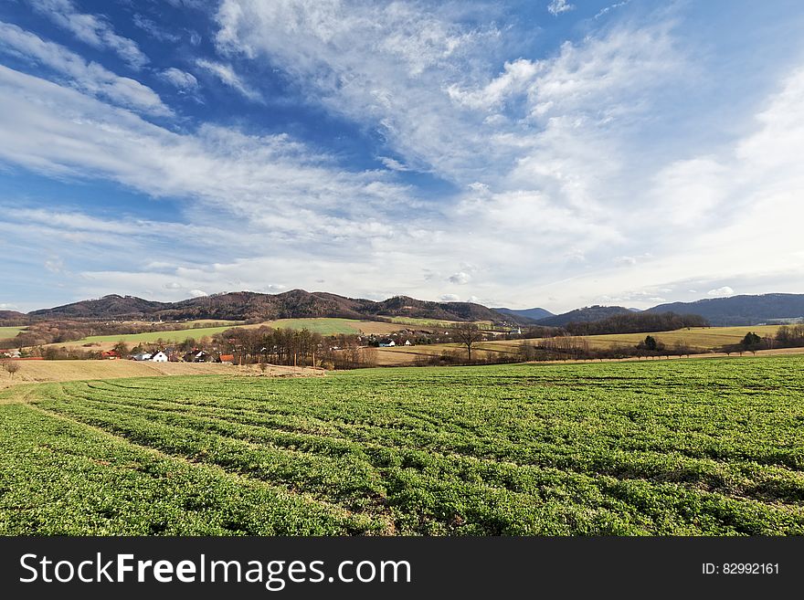 Green Crops Under White Clouds And Blue Sky During Daytime