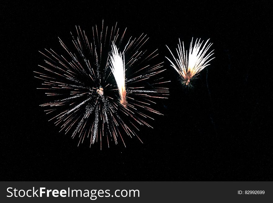 Fireworks during Night Time
