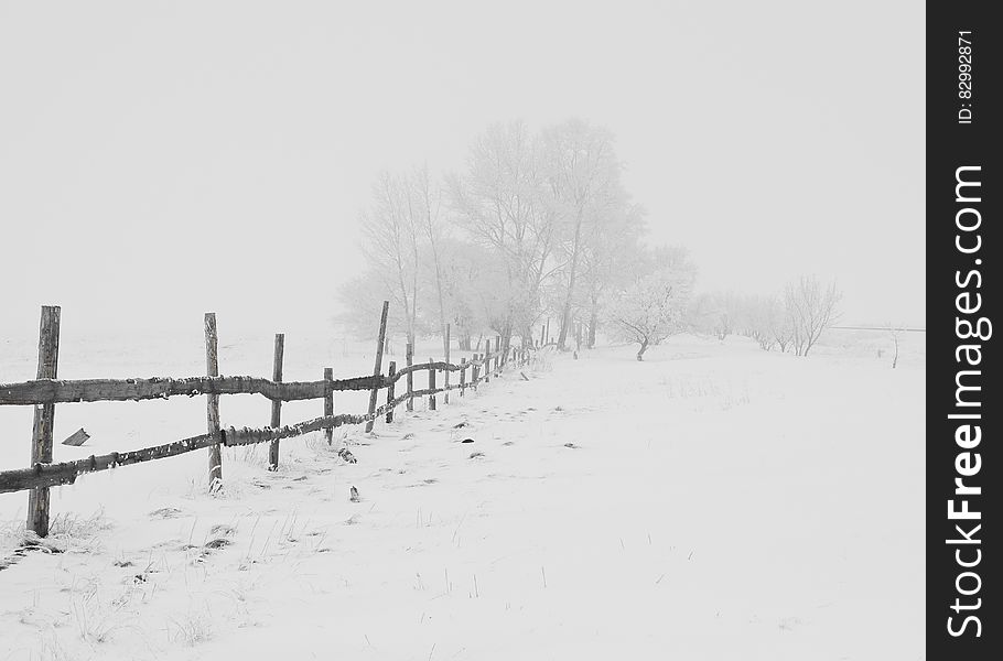 Black Wooden Fence on Snow Field at a Distance of Black Bare Trees