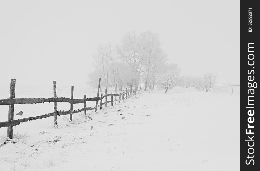 Black Wooden Fence On Snow Field At A Distance Of Black Bare Trees