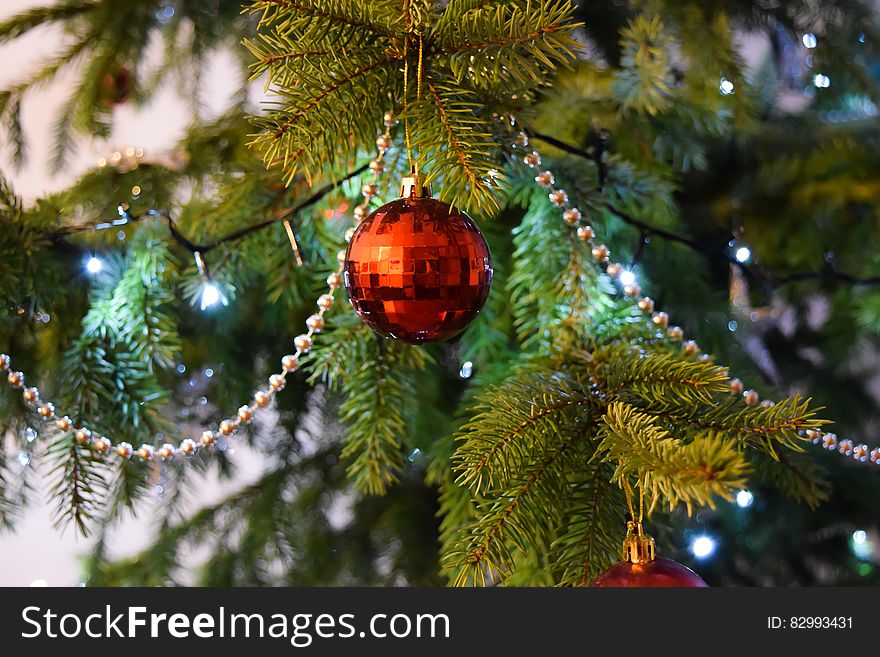 Red Baubels Hang on the Christmas Tree