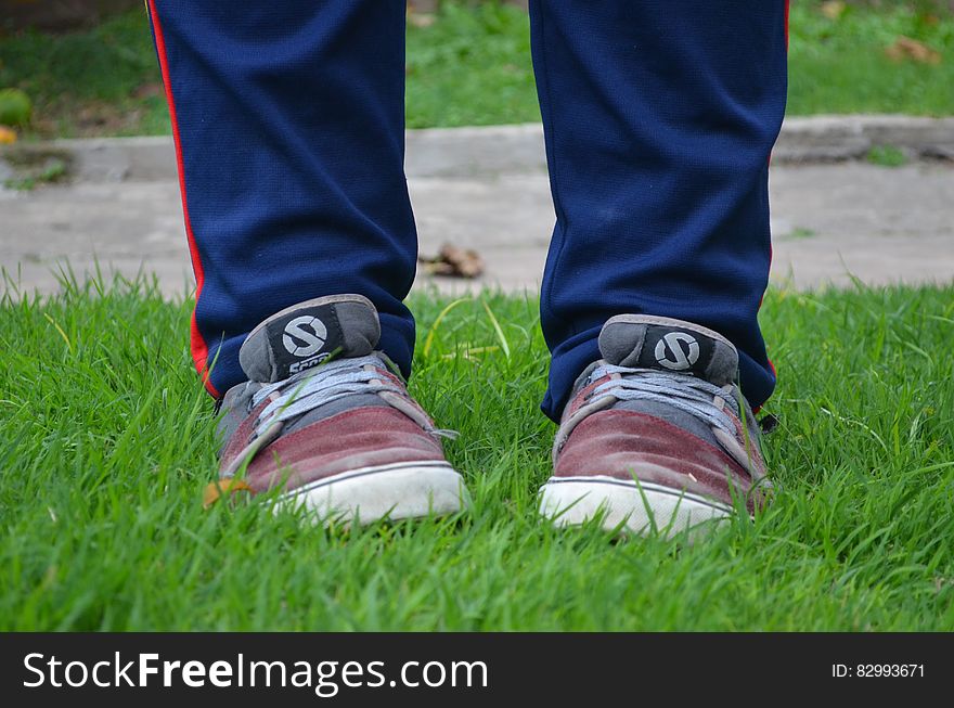 Person in Red Grey Sneakers on Green Grass