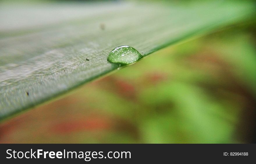 A dew drop on a green leaf. A dew drop on a green leaf.