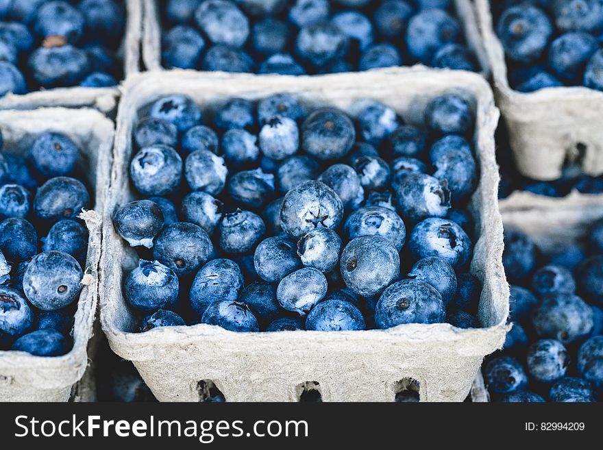 Blueberry Fruit On Gray Container