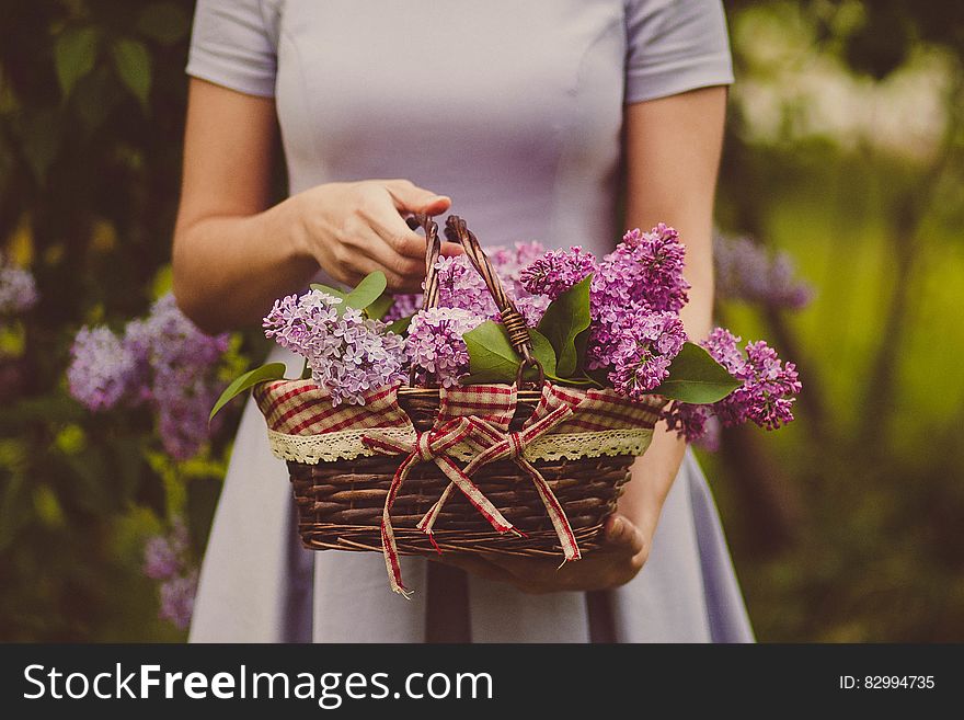 Woman Carrying Purple Flowers
