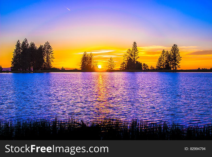 Blue And Orange Sunset Over Lake With Tree Silhouettes