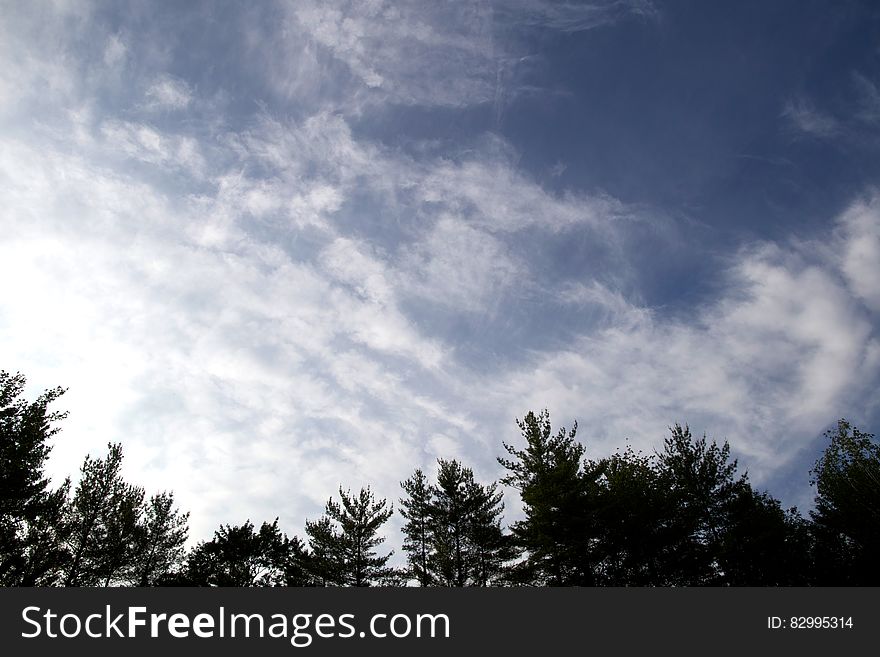 A blue sky with white clouds over a forest. A blue sky with white clouds over a forest.
