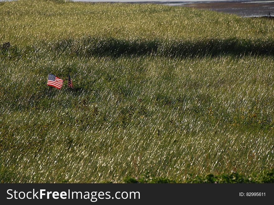 United States Flag on Green Grass Field