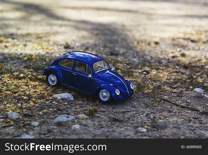 Blue Beetle Car on Yellow and Green Grass