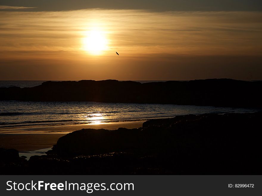 Blue Seashore during Sunset