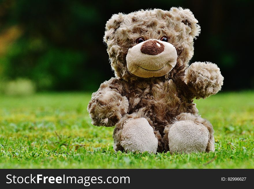 Brown Teddy Bear Sitting on Grass