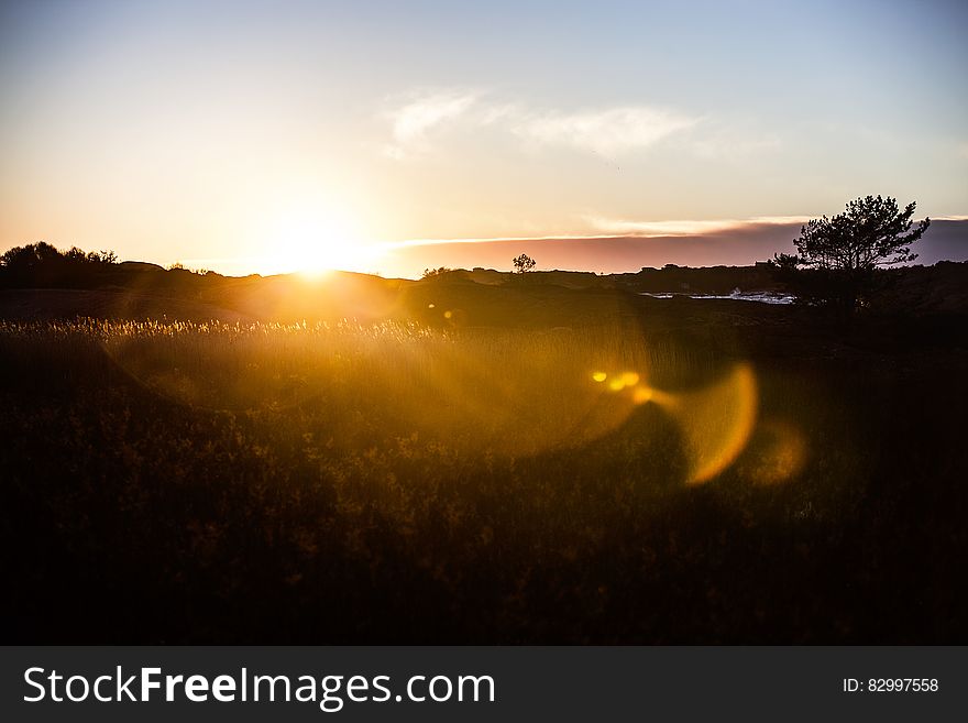 Field during Sunrise