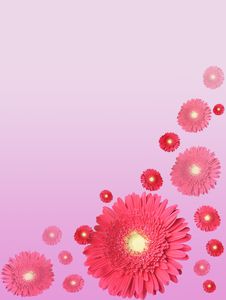 Card With Flowers Royalty Free Stock Photo Card With Flowers Royalty Free Stock Photo