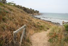 Path To The Beach Royalty Free Stock Images Path To The Beach Royalty Free Stock Images