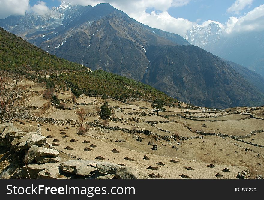 Cultural fields in the Himalayas