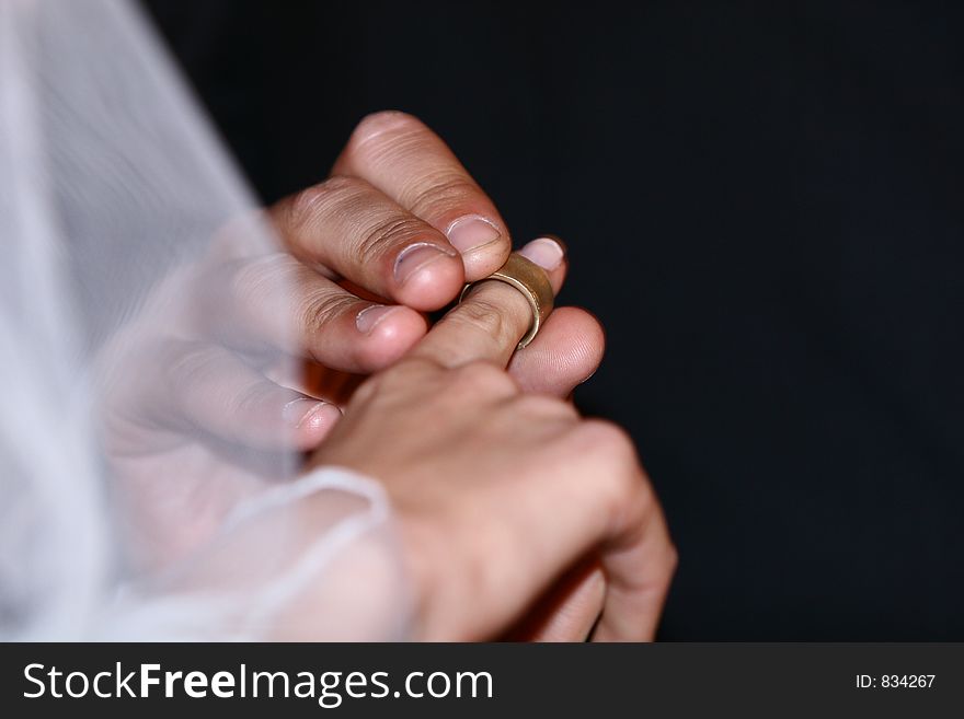 The groom places the ring on his bride's finger. The groom places the ring on his bride's finger