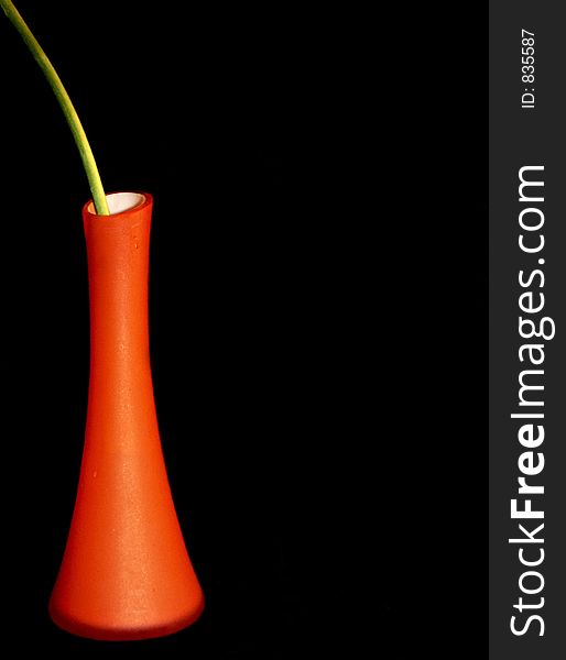 Orange vase with red tulip