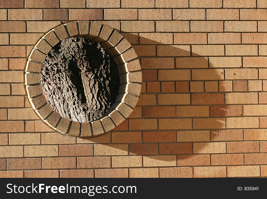 Brick wall with a portal looking onto a tree.  Tree is out of focus, brick wall tack sharp.  Metaphor for society boxing out natural things?. Brick wall with a portal looking onto a tree.  Tree is out of focus, brick wall tack sharp.  Metaphor for society boxing out natural things?