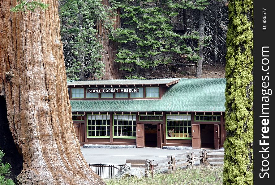 The Giant Forest Museum high in the mountains at the Sequoia National Forest in Three Rivers, California