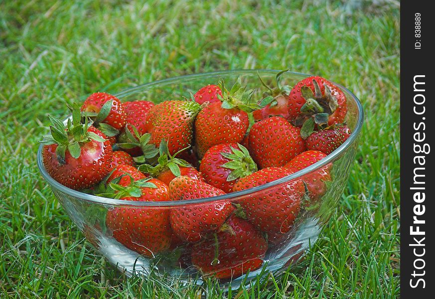 Strawberries in a bowl on the grass