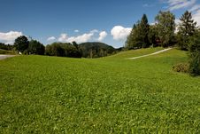 Beautiful Alpine Meadow Stock Photos Beautiful Alpine Meadow Stock Photos