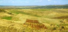 Agriculture Field Stock Photography Agriculture Field Stock Photography