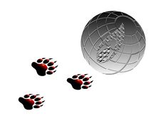 Paw And Earth Royalty Free Stock Images