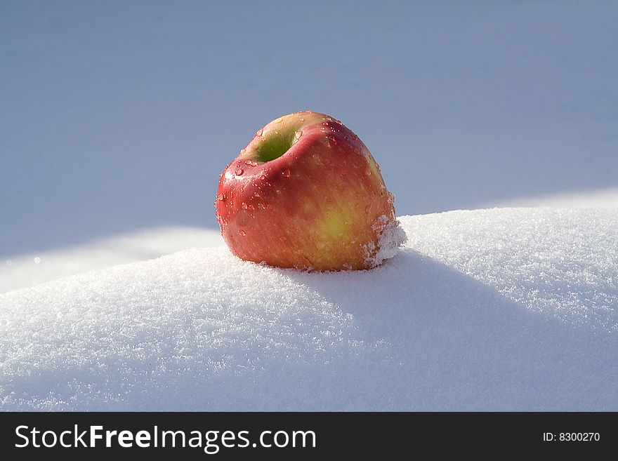 Red apple with water droplets. Shoot on a snow background.