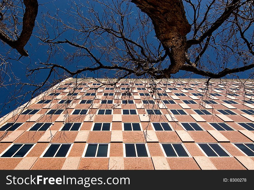 Building, tree and sky