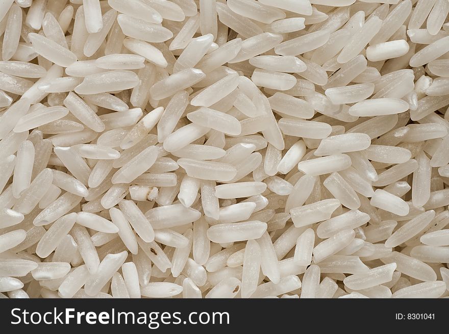 Rice Closeup