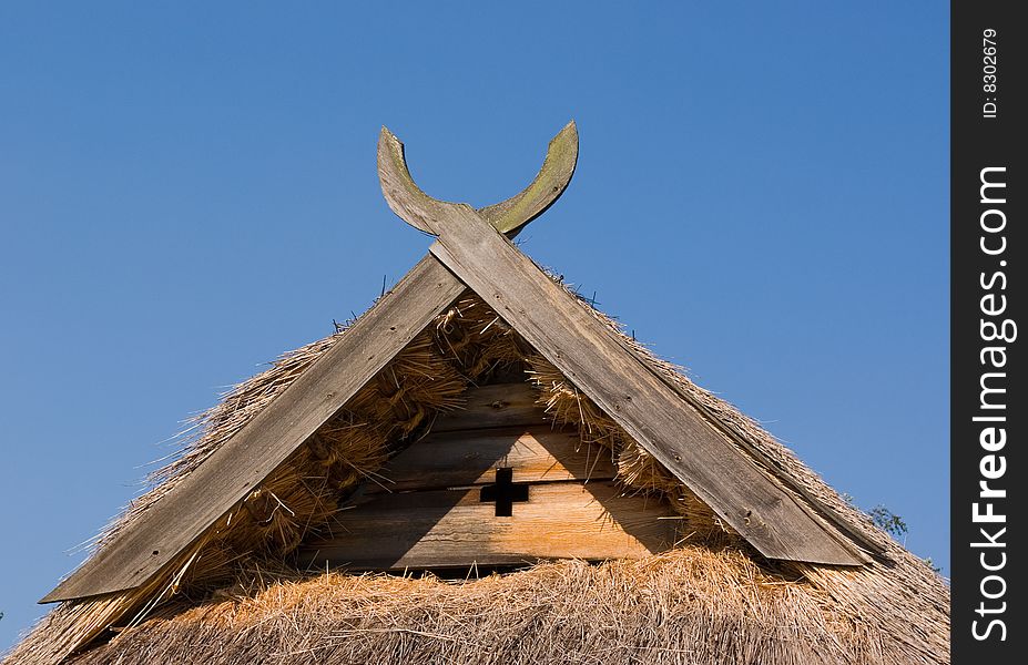 Thatch roof