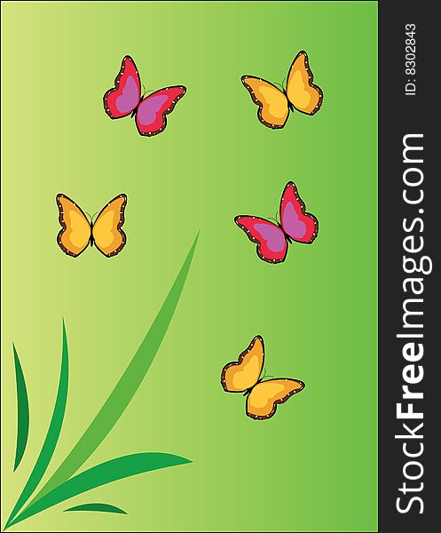 Abstract color butterfly - animated nature