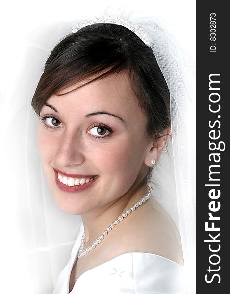 Portrait of bride on wedding day with veil. Portrait of bride on wedding day with veil