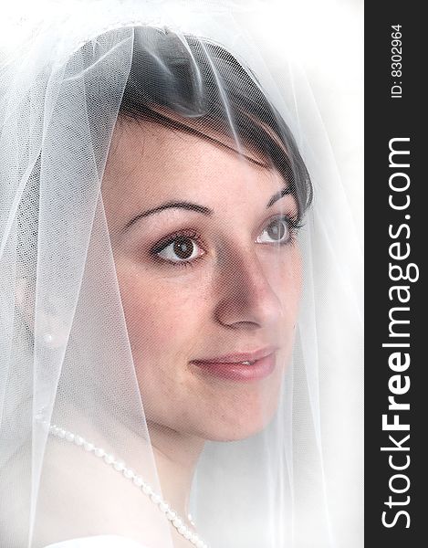 Portrait of bride on wedding day with veil. Portrait of bride on wedding day with veil