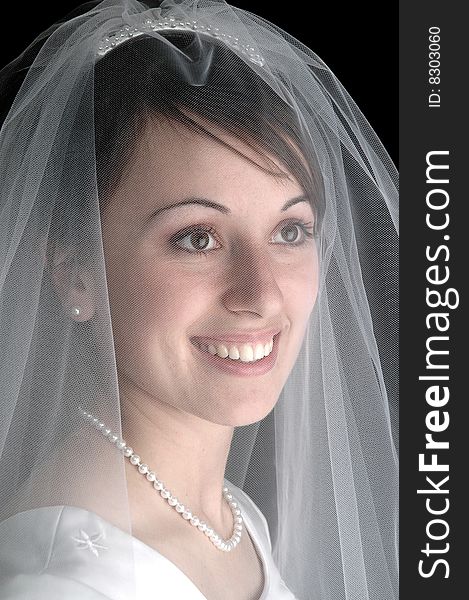 Portrait of bride on wedding day with veil. Portrait of bride on wedding day with veil