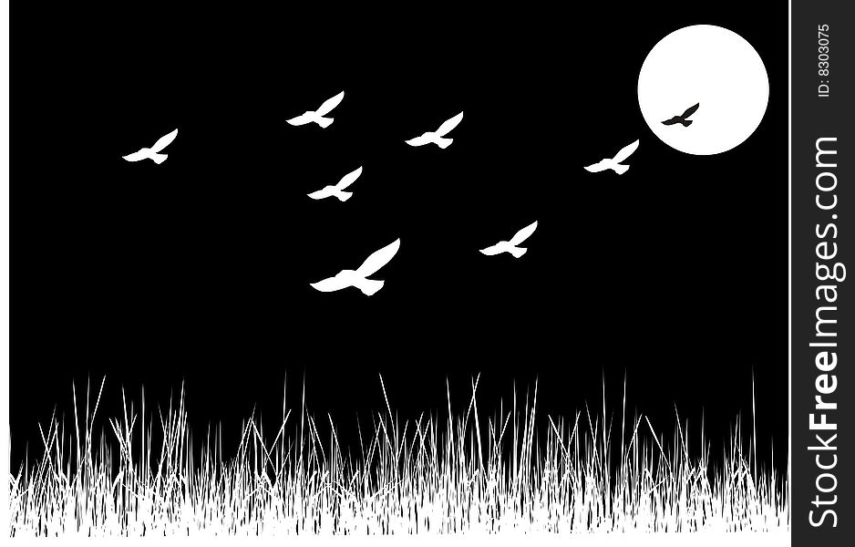 Flight of the birds in moonlight. Flight of the birds in moonlight