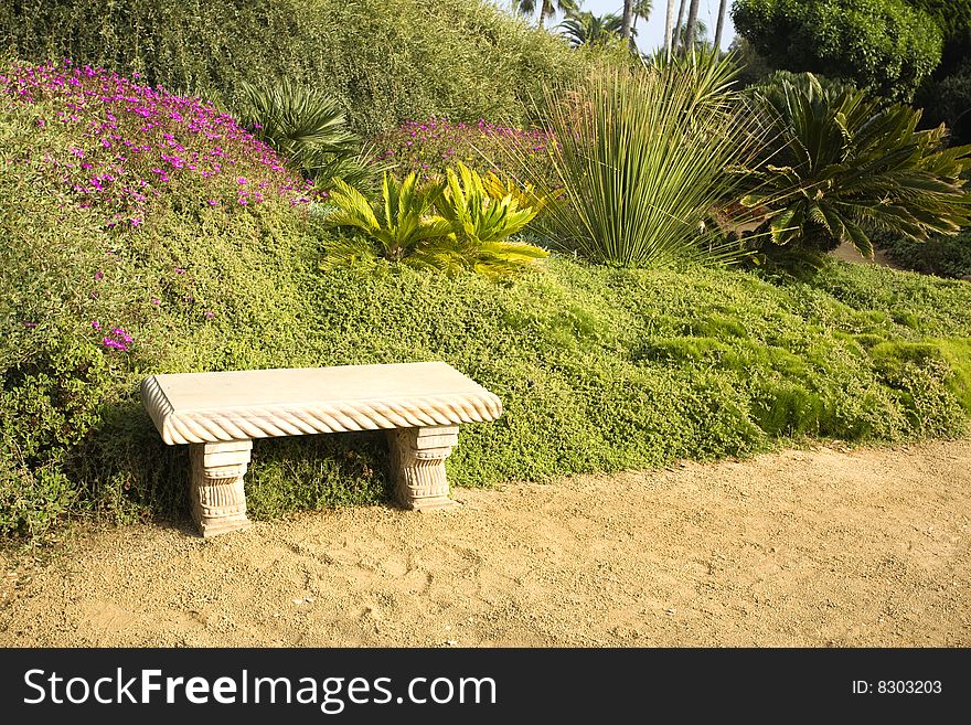 Tropical Succulent garden in San Diego