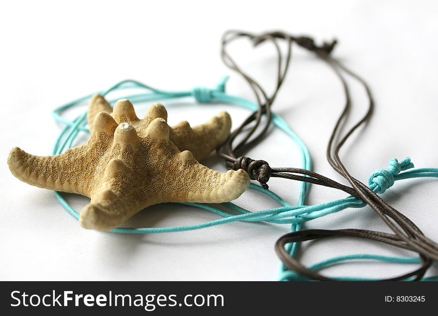 Starfish and Strings against the Light Background