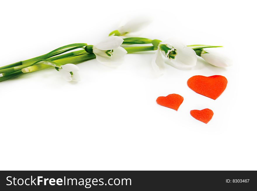 Snowdrops and red hearts over white. Snowdrops and red hearts over white