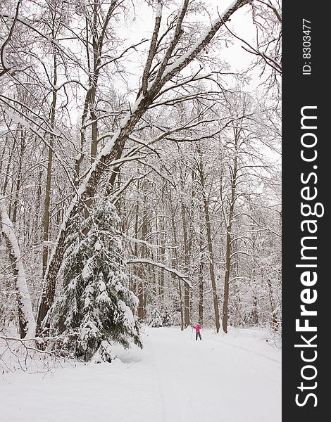 Beautiful winter landscape and girl skiing